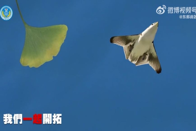 Symbolic of Sixth-Gen Fighters, Chinese PLA Shows Ginkgo Leaf & Bird in New Year Video