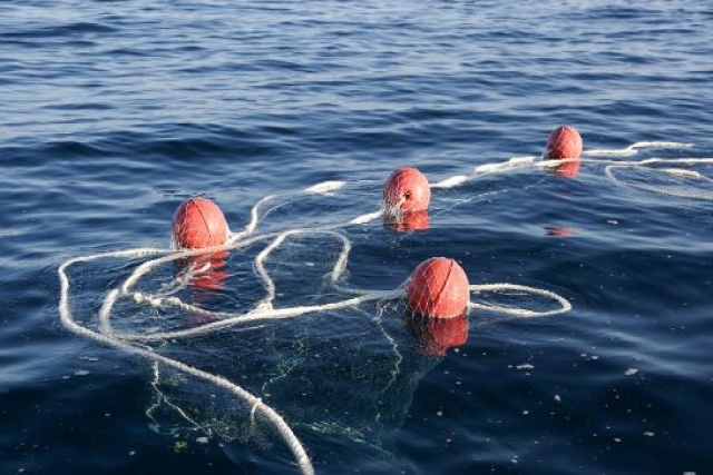 Chinese Authorities Accuse Philippine Navy of Damaging Fishing Nets