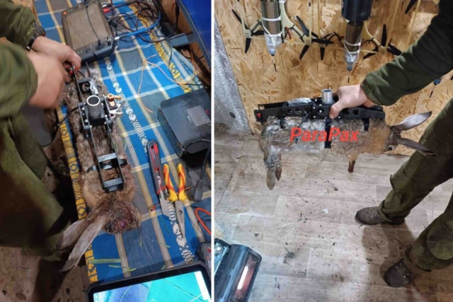 Russia Booby Traps Animal Carcasses to Use as Mines