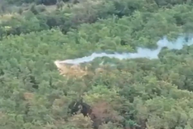 Ukrainian FPV Drone Deploys Thermite on Russian-Held Treeline