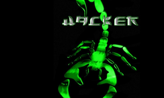 Three Pakistani Airport Websites Hacked By Indian Hackers