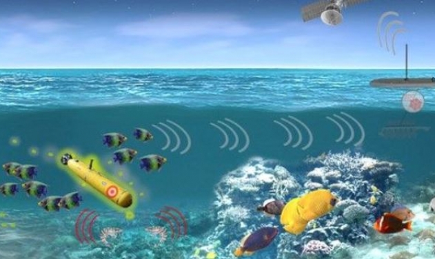 DARPA Selects Northrop Grumman To Develop Bio Sensors To Detect Underwater Threats 