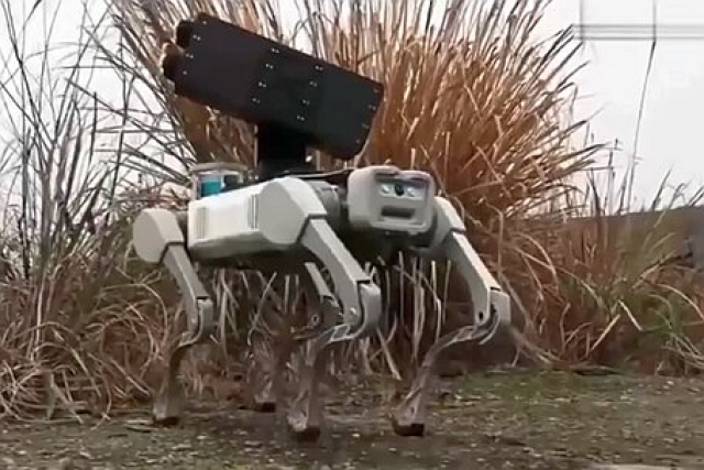 China Equips Robotic Dog With Short-range Air Defense System